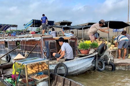 Full-day Cai Rang and Mekong Delta guided private tour