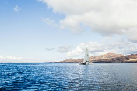 Private sunset cruise with dolphin watching in Lanzarote
