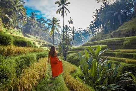 Best Ubud tour with Tirta Empul, Batuan Temple, Ubud Market, Rice Terrace