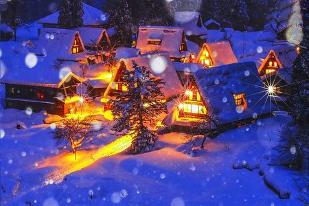 Takayama and Shirakawago winter lights guided tour from Nagoya