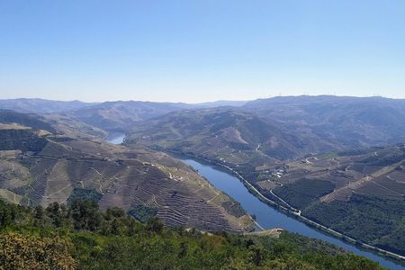 Douro and Vinho Verde private tour from Porto