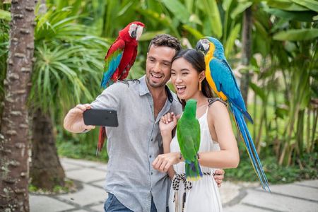 Bali Bird Park entrance ticket