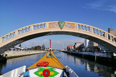 Private Bairrada Wine Tour from Porto with Tasting and Lunch