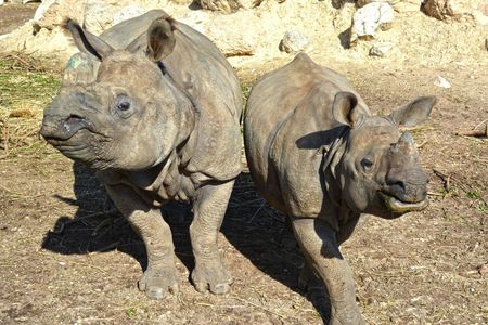 Terra Natura Zoo tickets