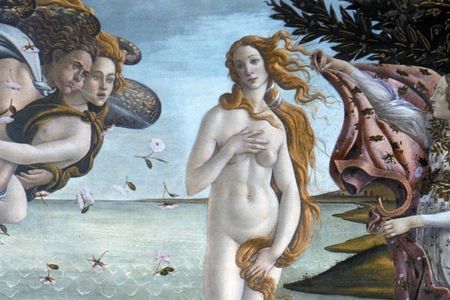 Accademia and Uffizi Galleries guided tour with optional lunch