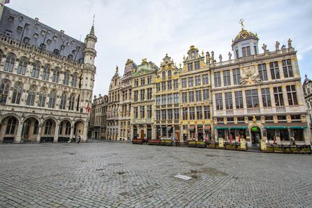 Private exclusive history walk through Brussels with a local expert