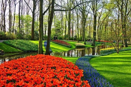 Keukenhof and Giethoorn Private Sightseeing Tour from Amsterdam