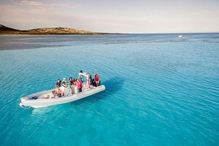 Half-Day Dinghy Tour in Asinara Gulf from Stintino