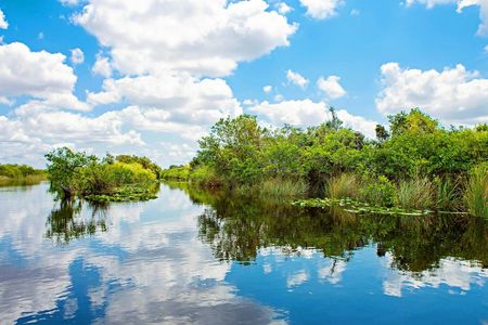 Everglades Tour from Miami