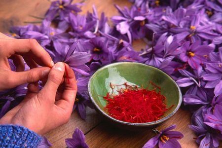 Guided Tour of a Saffron Laboratory with Tasting in Olmedo