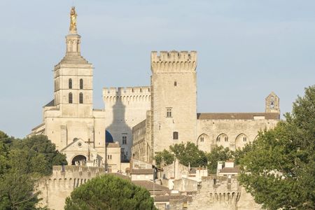Walking Tour of Avignon and Popes' Palace
