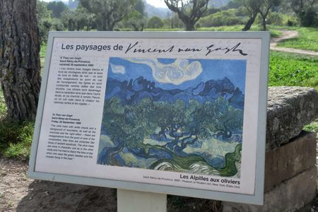 In the Footsteps of Van Gogh in Provence from Avignon