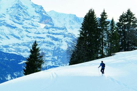 Snowshoe Tour in the Swiss Alps