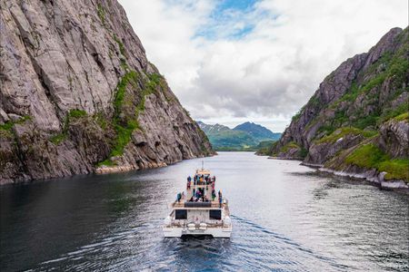 Silent Trollfjord cruise