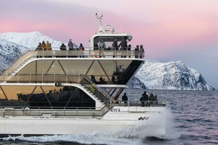 Tromsø fjord and wildlife cruise