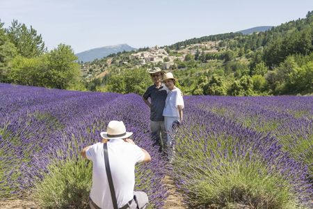 Lavender fields afternoon tour from Aix en Provence