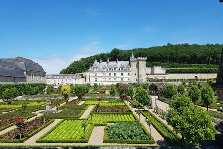 Guided visit Villandry & Azay-le-Rideau Châteaux from Tours