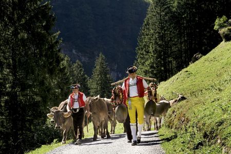 Mountain excursion with cheese and chocolate