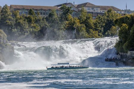 Rhine Falls half-day tour from Zurich