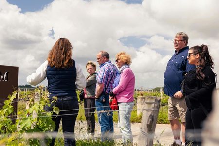 Médoc and Saint-Emilion wine tour