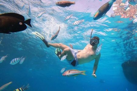 Bali full-day Blue Lagoon snorkeling trip