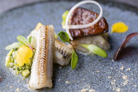 Premium Dinner Course at Gendai Satoyama Ryouri ZEN HOUSE Restaurant