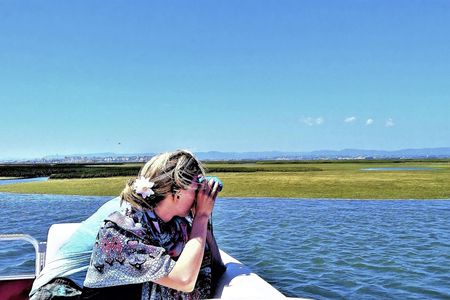 Ria Formosa Nature and Birdwatching Boat Tour