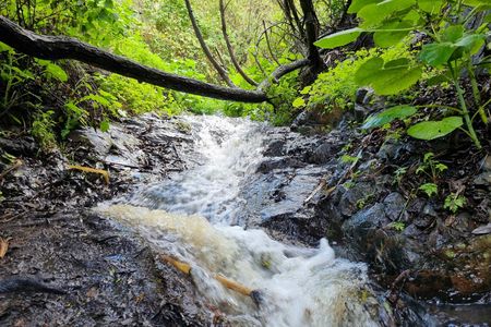 Waterfalls of Gran Canaria hiking tour with pickup and lunch
