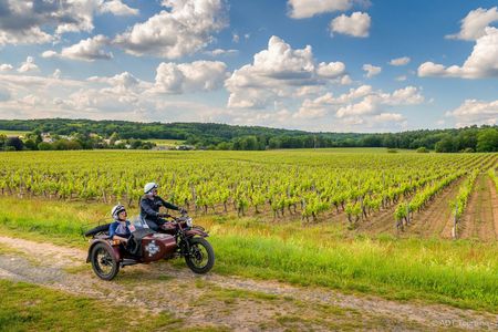 Full-day sidecar tour of the Loire Valley from Tours