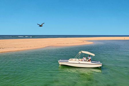 Birdwatching in Ria Formosa eco-friendly boat tour