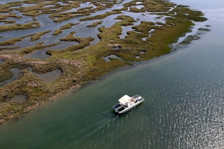 Algarve eco-friendly solar boat trip in Ria Formosa from Faro
