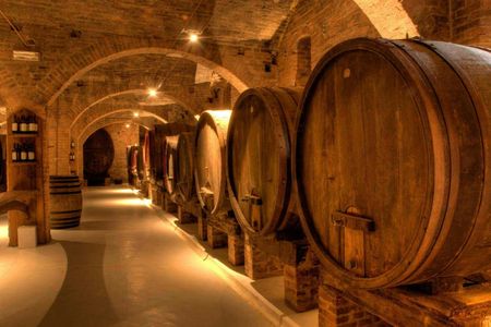 Primitivo & Negroamaro Wine Tour from Lecce with Typical Lunch