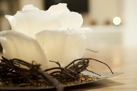 Wellness path and wine tasting on Etna