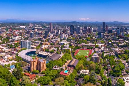 Portland Timbers Football Game at Providence Park Stadium