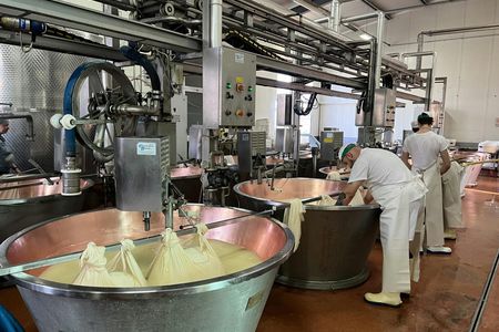 Parmiggiano, Wine and Balsamic Full Day Tour with Lunch from Bologna