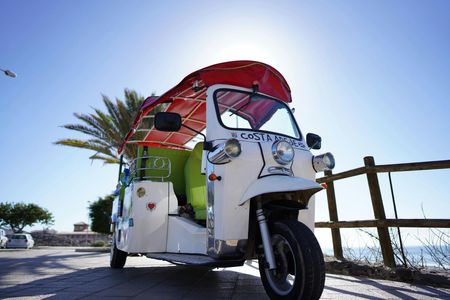 Costa Adeje private tuk tuk tour