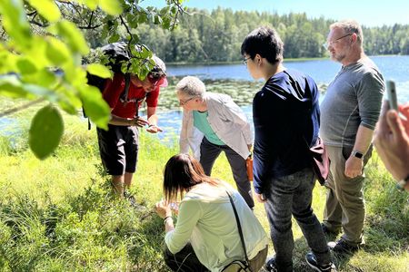 Berry picking and wildlife