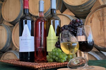 Madeira wine tastings and Skywalk full-day tour in open roof 4x4