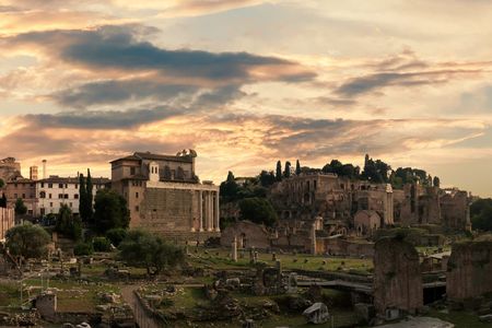 Roman Forum, Palatine Hill and Roman Domus Guided Tour