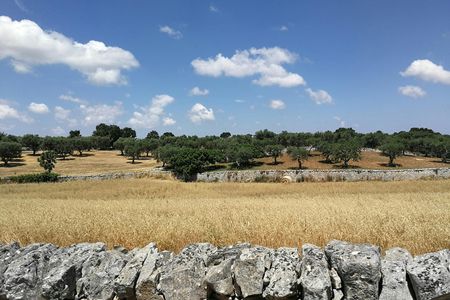 Trekking and dry stone wall lesson in the Valle d’Itria