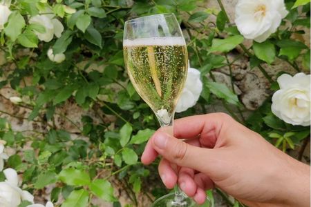 Champagne Day Trip from Paris with Lunch and 7 Tastings