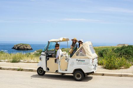 Private Tuk-Tuk Tour in Polignano a Mare