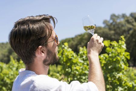 Provence Wine Tour and Luberon Villages from Aix en Provence