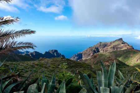 North-West Tenerife Hidden Secrets Guided Tour