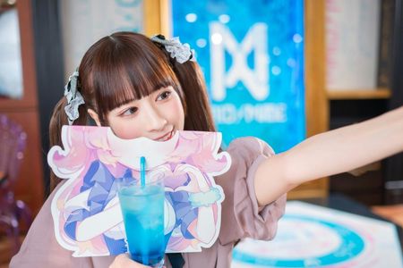 Become a Maid Experience at Akihabara Maid Café