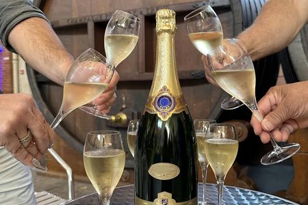 Full-Day Tour and Tasting at Two Family Estates Including Lunch