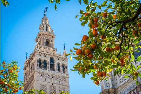 Seville Cathedral skip-the-line tickets and guided tour