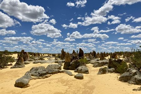 Pinnacles Full-day Guided Tour