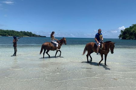 Horse Back Riding and Boston Jerk Centre Tour in Portland