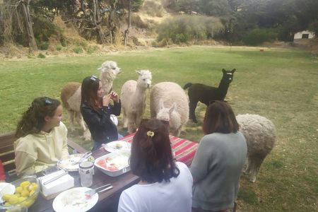 Flavors and Traditions of Peru with a Local Family in Cuzco